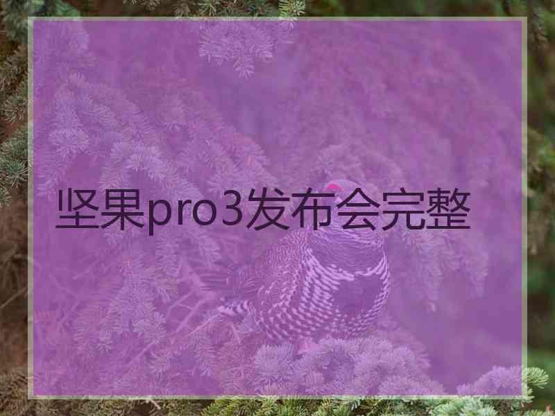 坚果pro3发布会完整