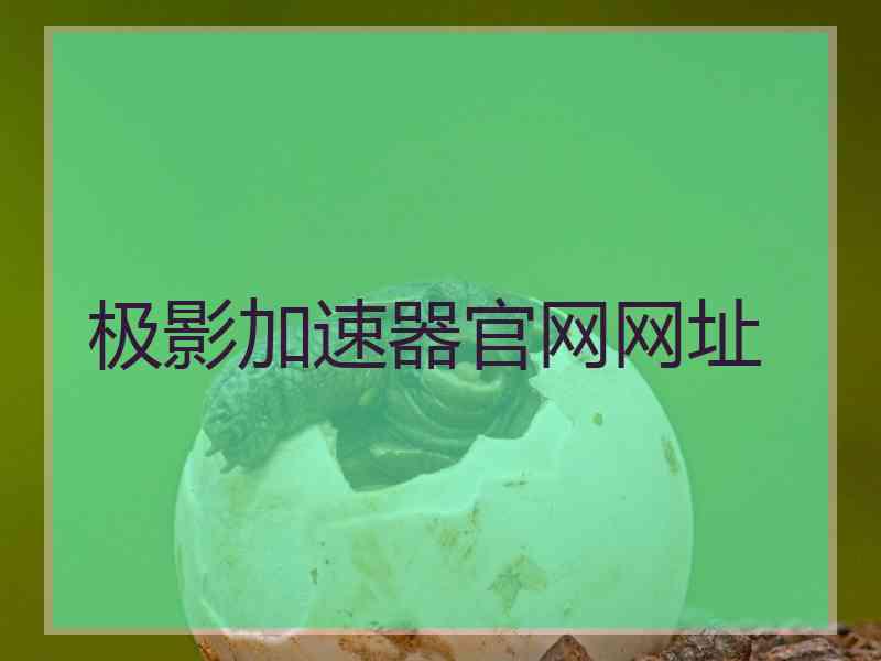 极影加速器官网网址