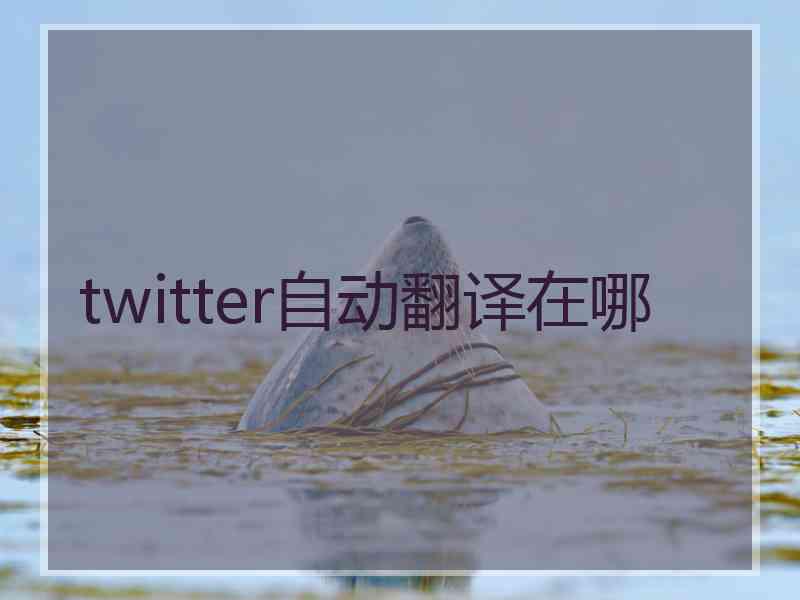 twitter自动翻译在哪