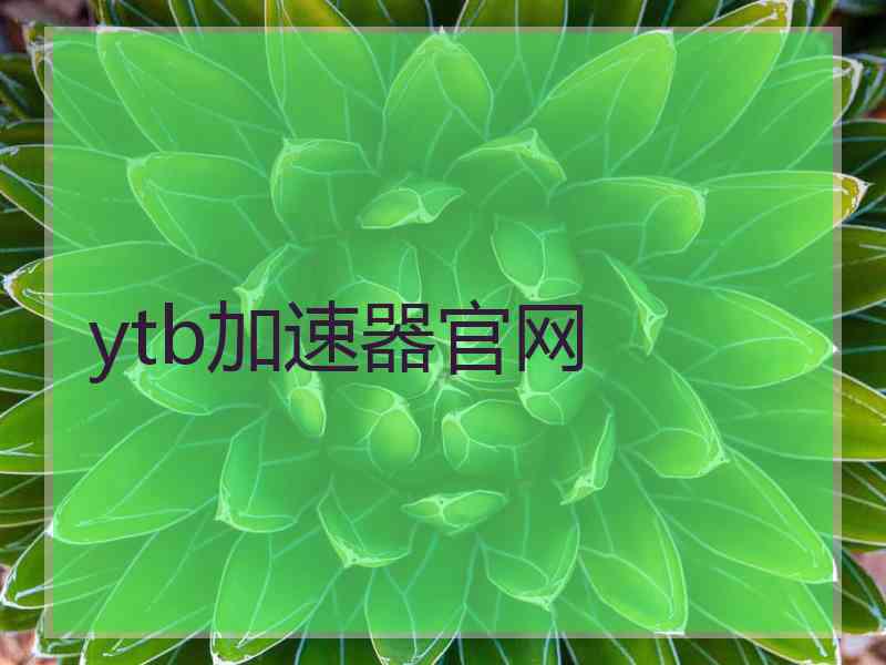 ytb加速器官网