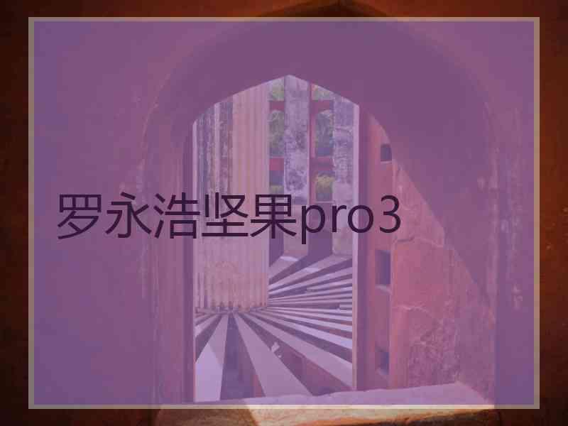 罗永浩坚果pro3