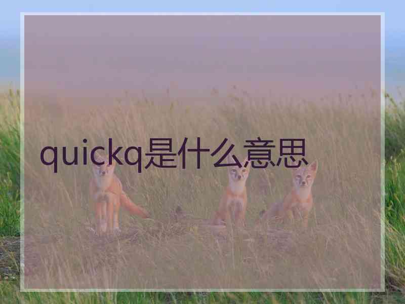 quickq是什么意思