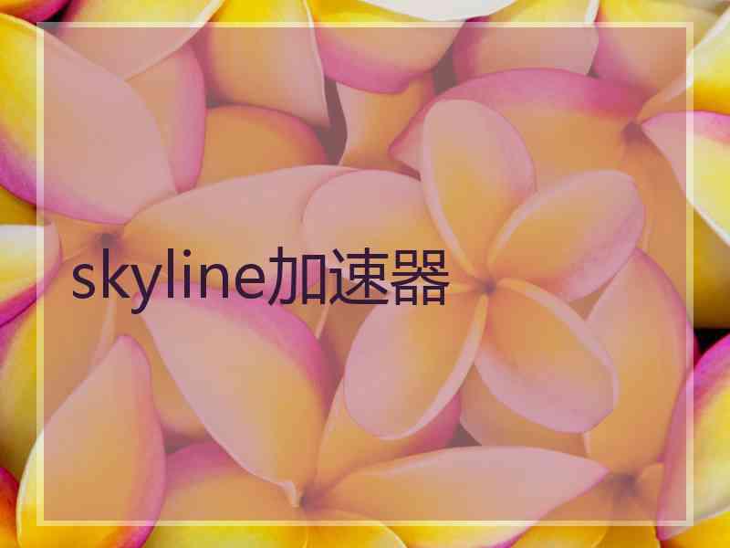 skyline加速器