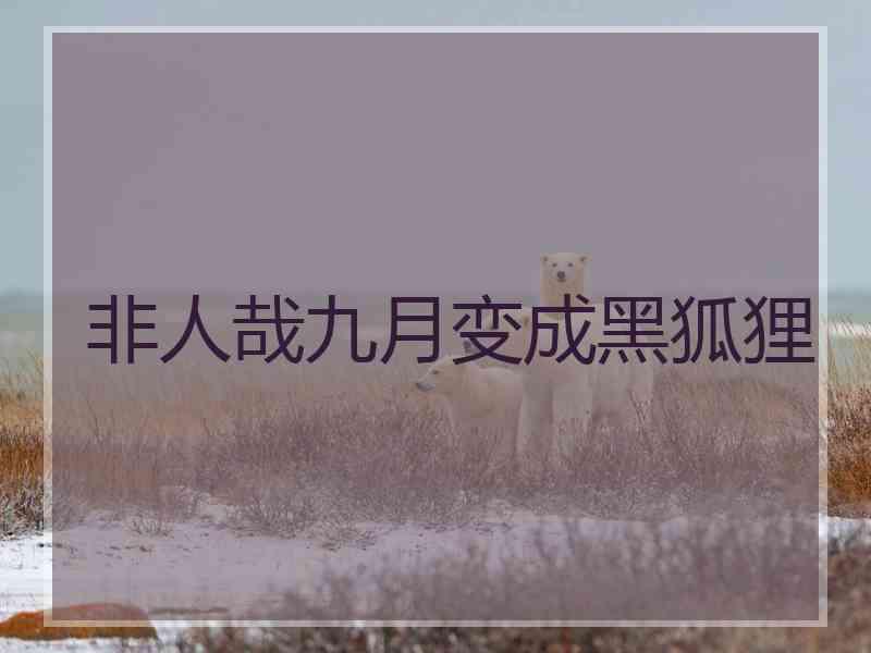 非人哉九月变成黑狐狸