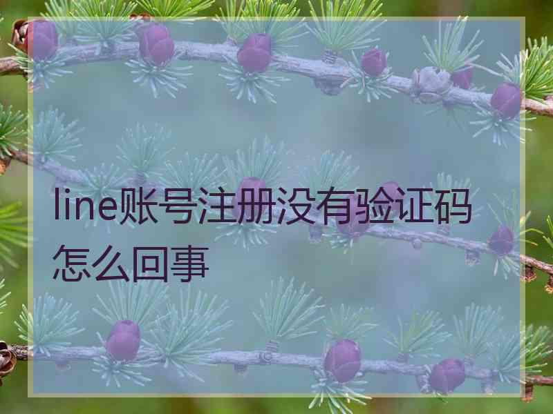 line账号注册没有验证码怎么回事