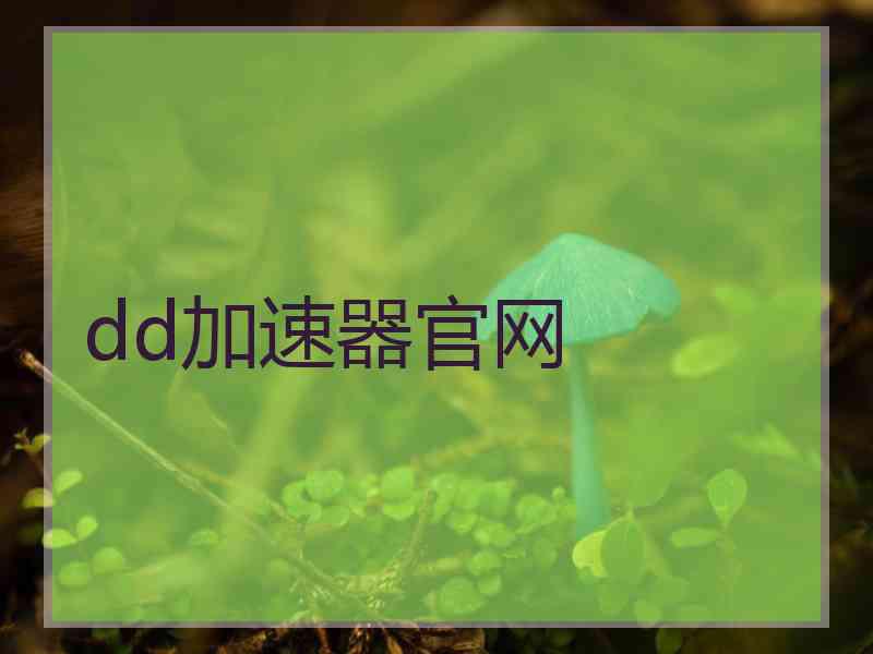 dd加速器官网