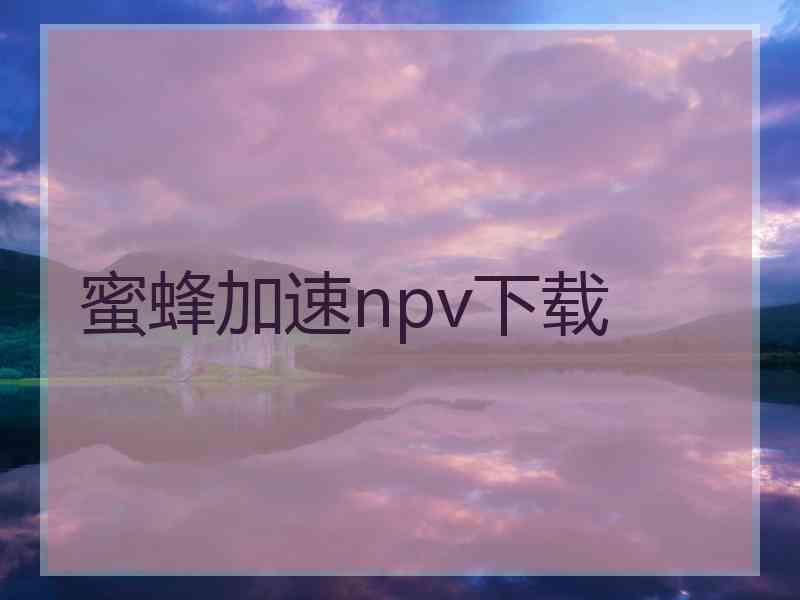 蜜蜂加速npv下载