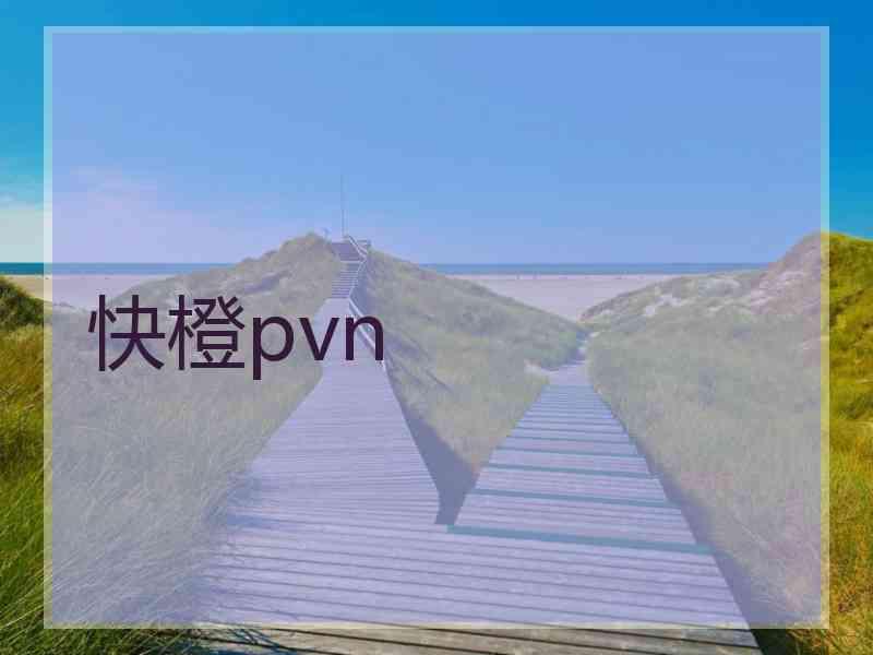 快橙pvn