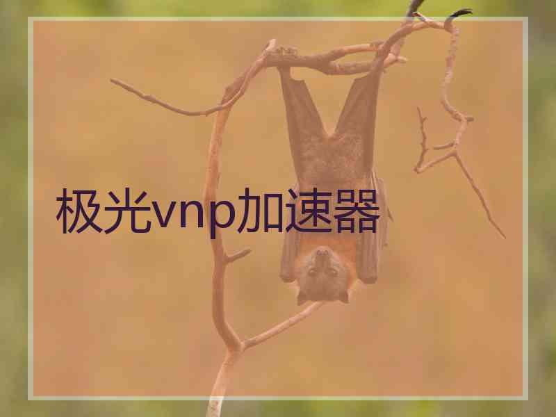 极光vnp加速器