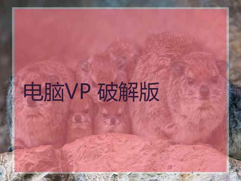 电脑VP 破解版