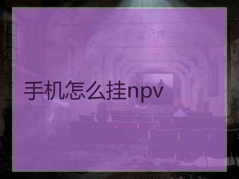 手机怎么挂npv