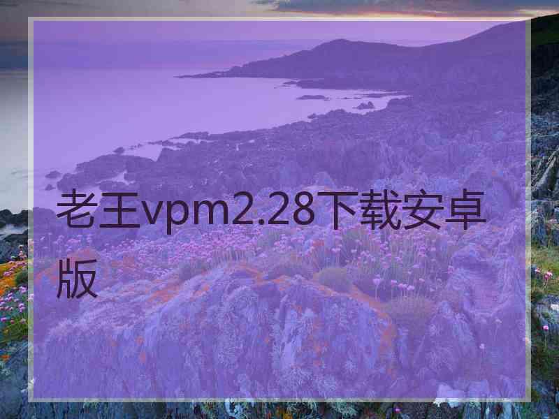 老王vpm2.28下载安卓版