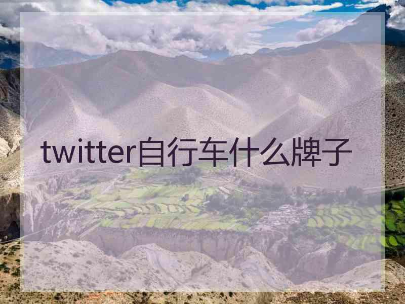 twitter自行车什么牌子