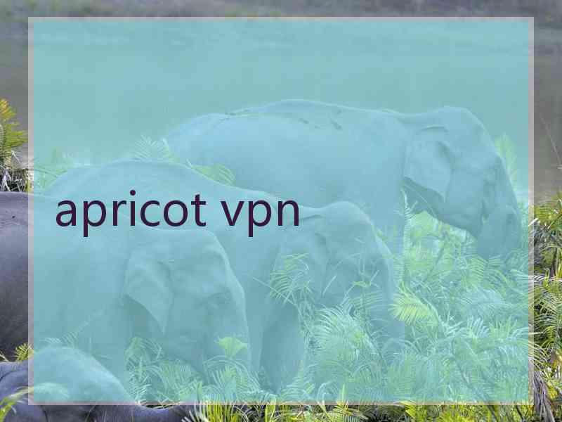 apricot vpn