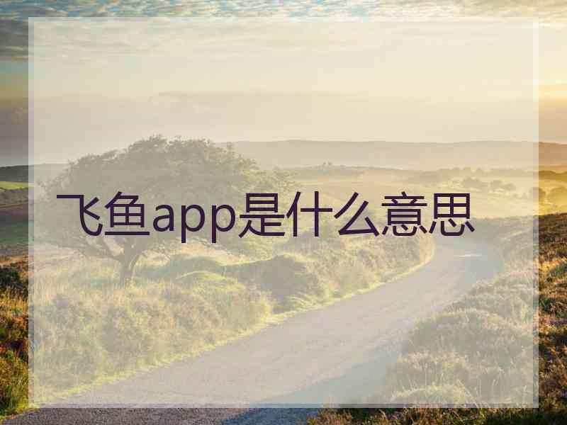 飞鱼app是什么意思