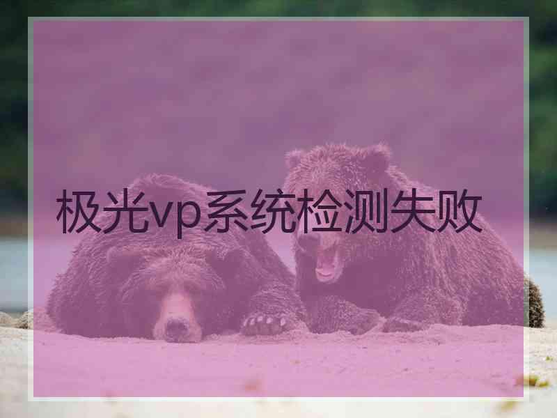 极光vp系统检测失败