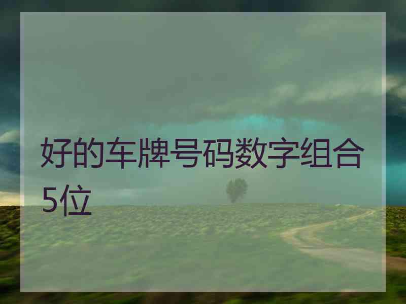 好的车牌号码数字组合5位