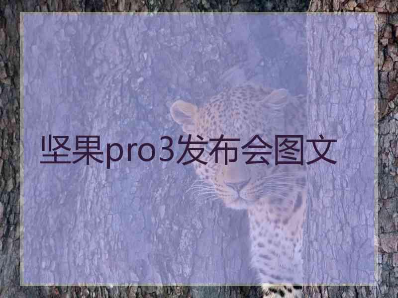 坚果pro3发布会图文