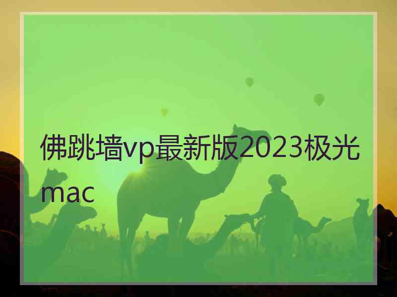 佛跳墙vp最新版2023极光 mac