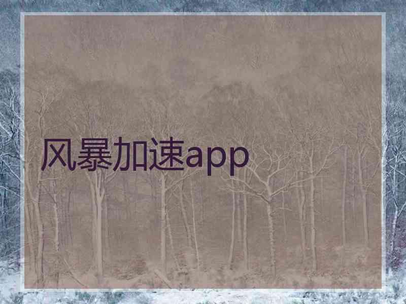 风暴加速app