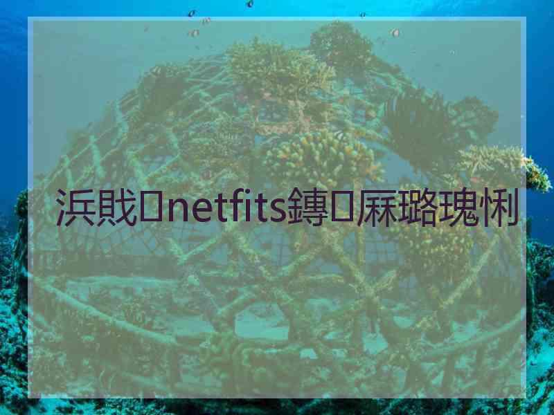 浜戝netfits鏄厤璐瑰悧