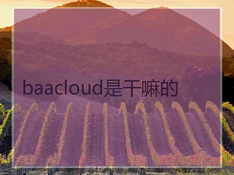 baacloud是干嘛的