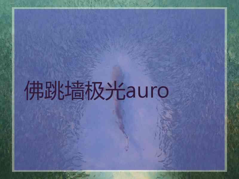 佛跳墙极光auro