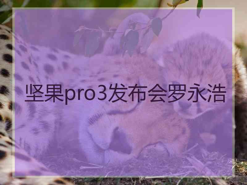 坚果pro3发布会罗永浩