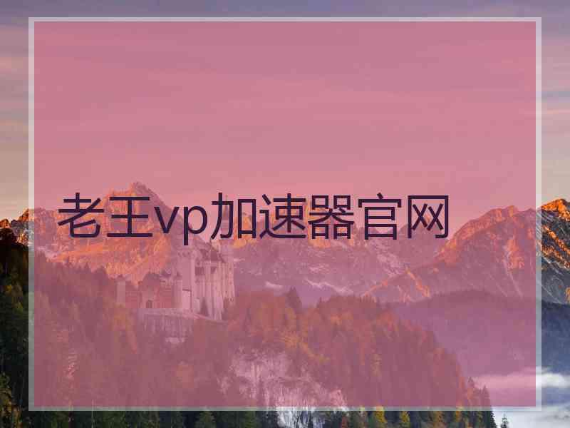 老王vp加速器官网