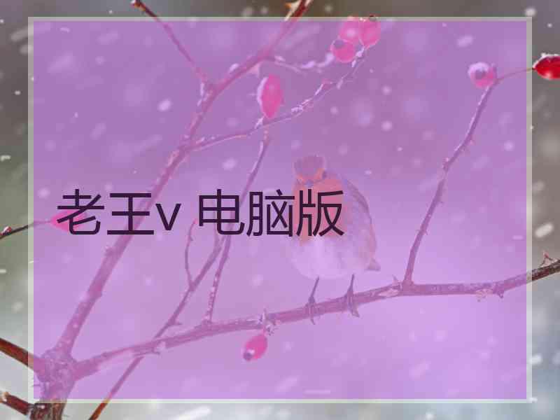 老王v 电脑版