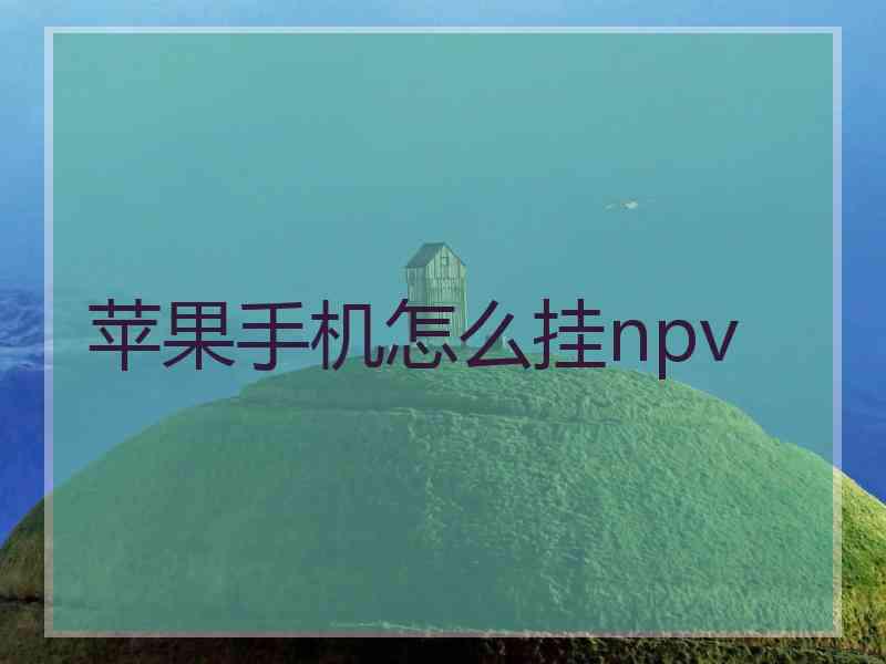 苹果手机怎么挂npv