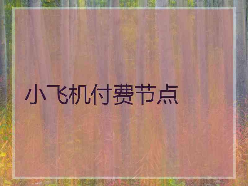 小飞机付费节点