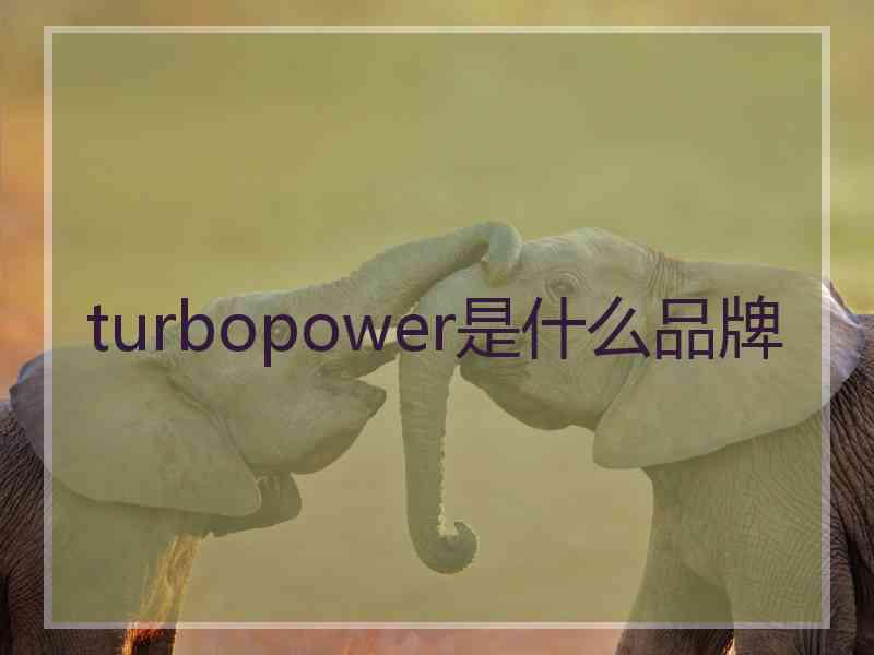 turbopower是什么品牌