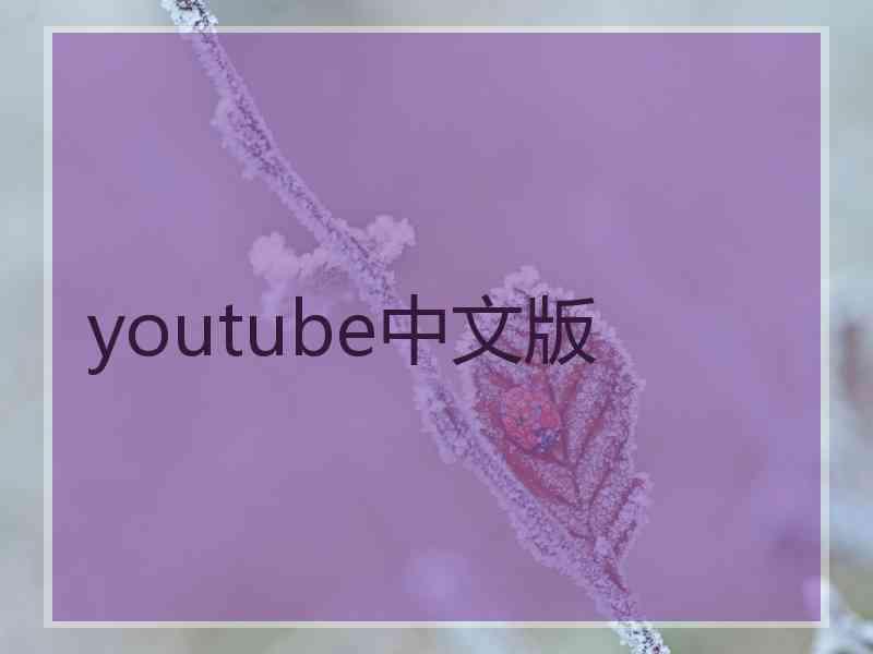 youtube中文版