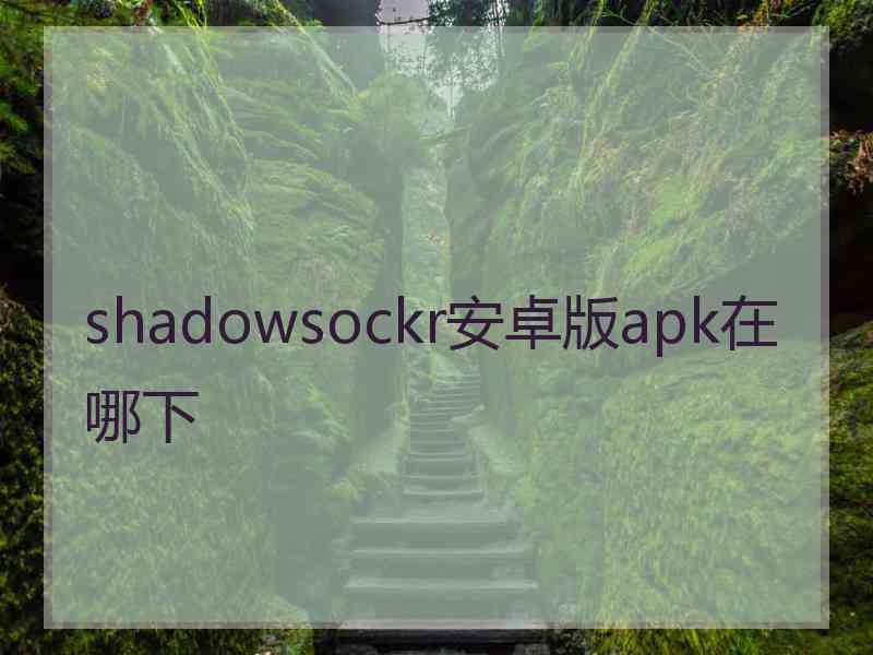 shadowsockr安卓版apk在哪下