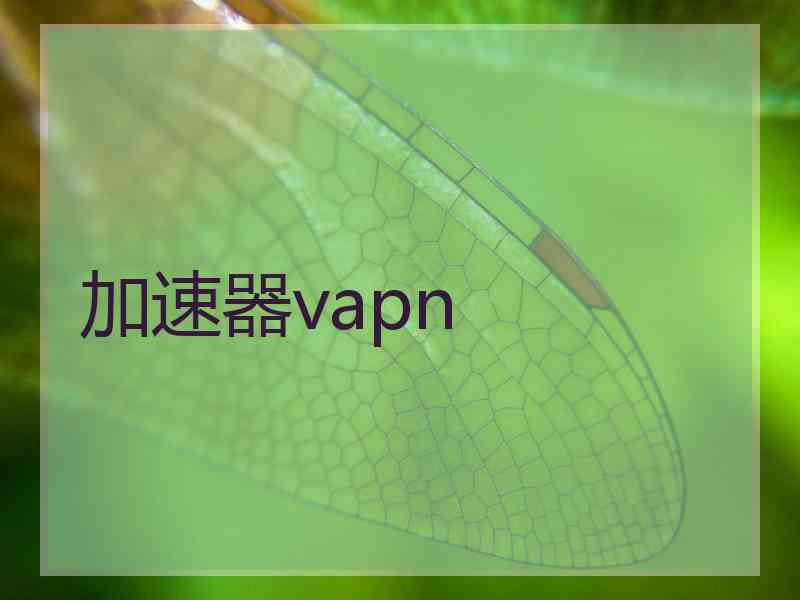 加速器vapn