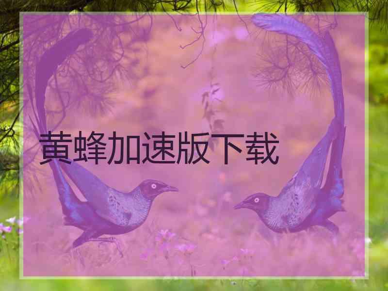 黄蜂加速版下载