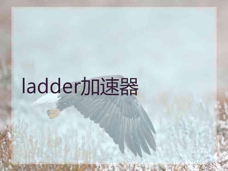 ladder加速器