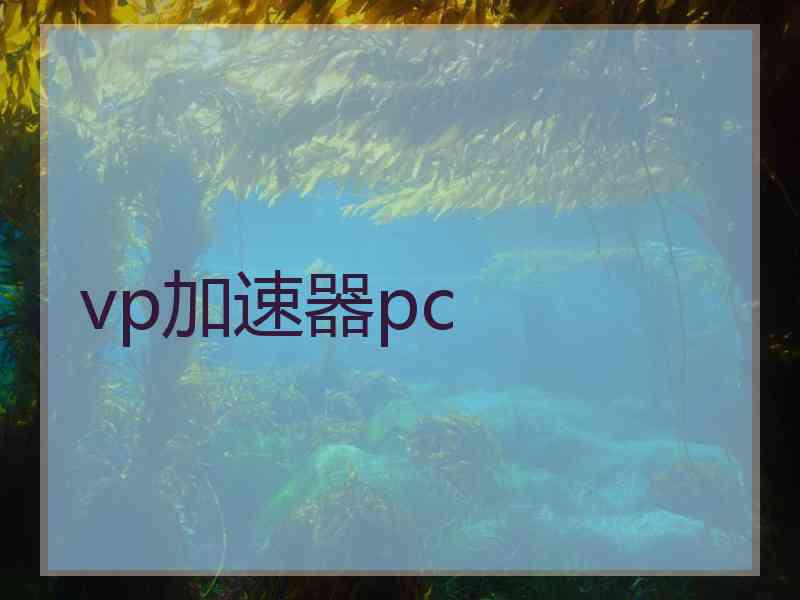 vp加速器pc