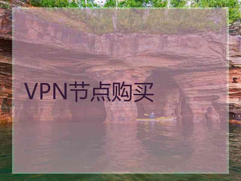 VPN节点购买