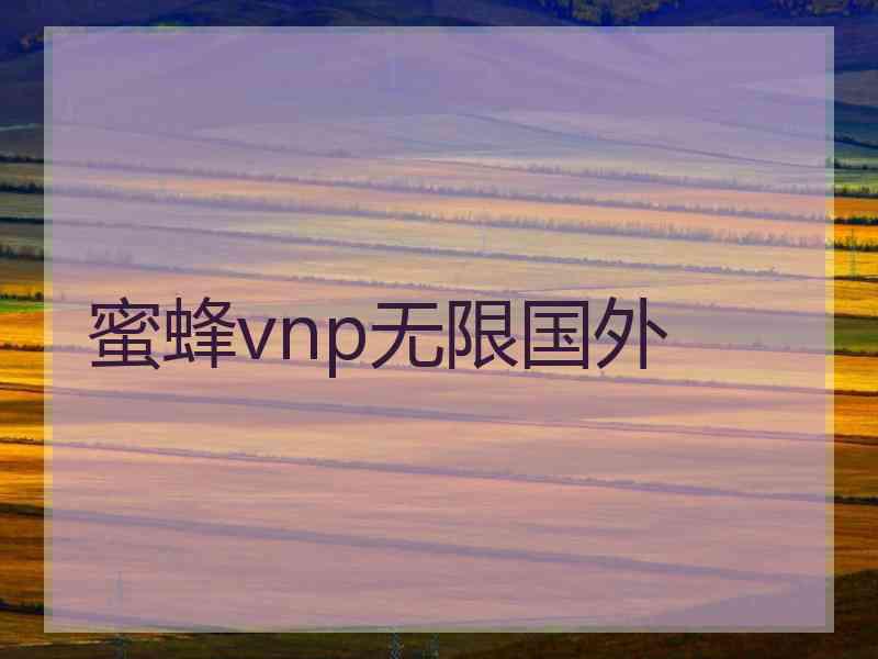 蜜蜂vnp无限国外