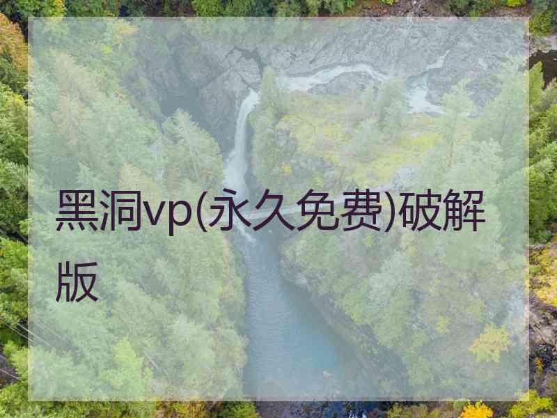 黑洞vp(永久免费)破解版