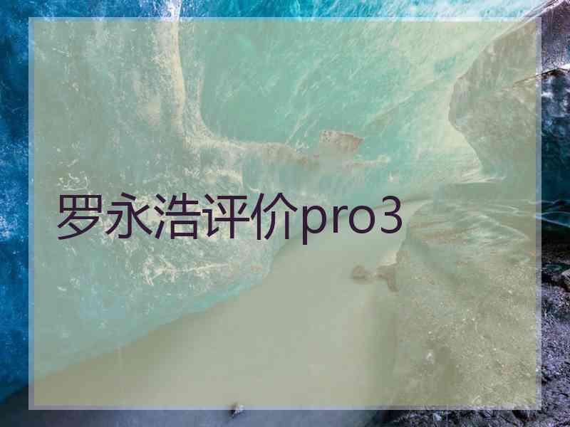 罗永浩评价pro3