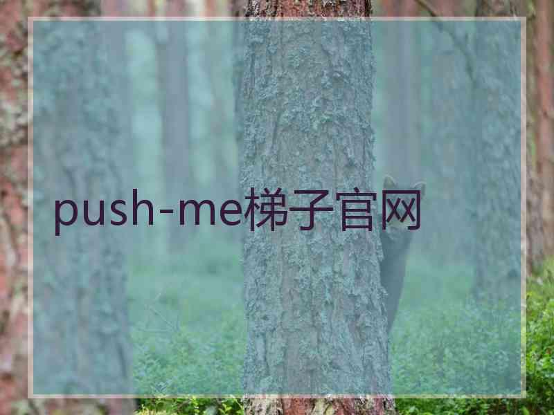 push-me梯子官网