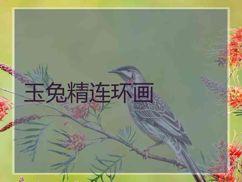 玉兔精连环画