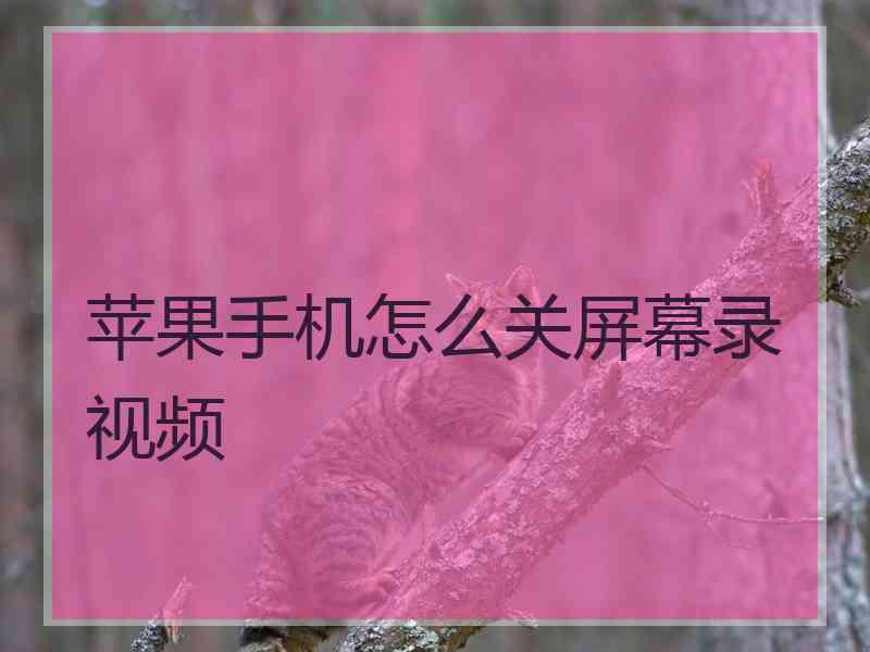 苹果手机怎么关屏幕录视频