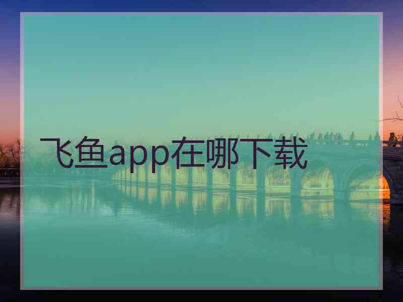 飞鱼app在哪下载