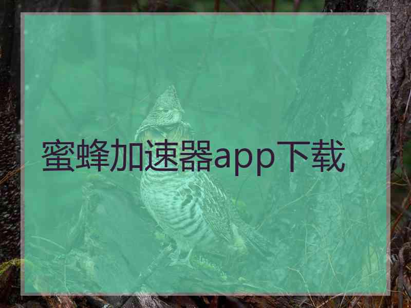 蜜蜂加速器app下载