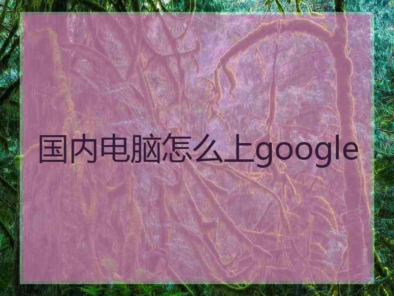 国内电脑怎么上google