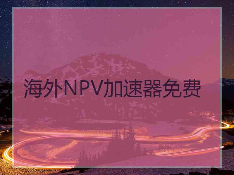 海外NPV加速器免费